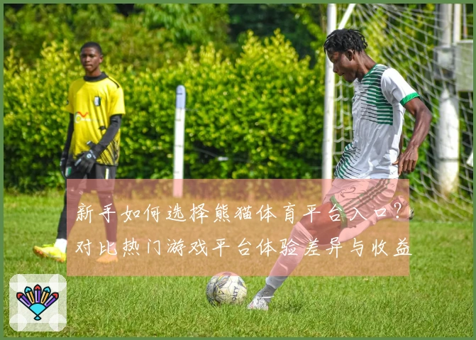 新手如何选择熊猫体育平台入口？对比热门游戏平台体验差异与收益分析