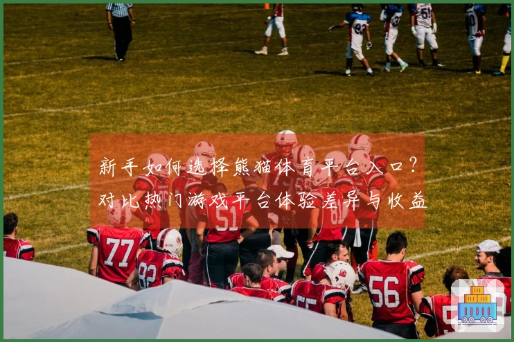 新手如何选择熊猫体育平台入口？对比热门游戏平台体验差异与收益分析